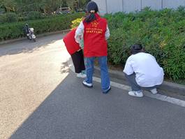 mk体育官网