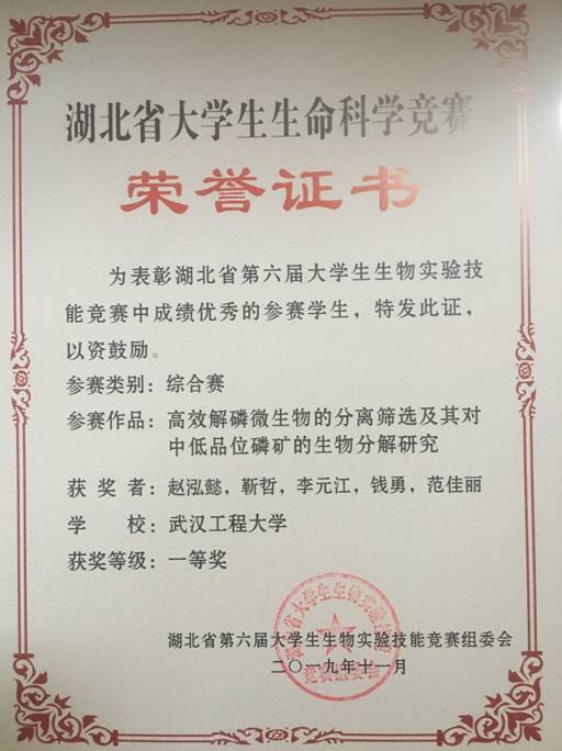 mk体育官网